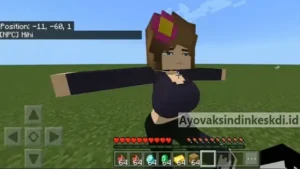 Jenny Minecraft 1