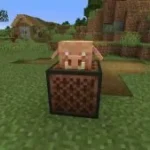 Minecraft Java Edition 2
