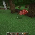 Minecraft Java Edition 1
